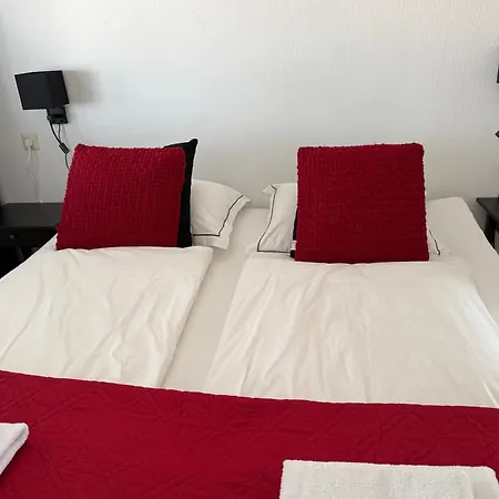 Piano * 잔드보르트